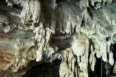 Hang động nhiều tầng nhũ đá được phát hiện giữa rừng Nghệ An