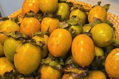 Nên ăn hồng ngâm vào thời điểm nào để tránh tác dụng phụ?