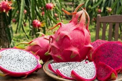 Thanh long giúp cải thiện táo bón khi thời tiết khô hanh