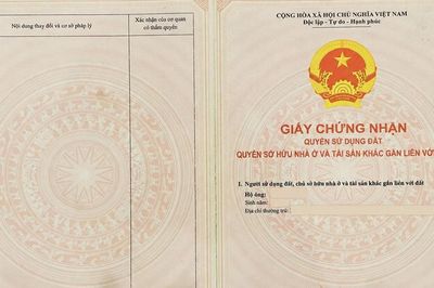 VNeID biến dữ liệu số thành tiện ích phục vụ người dân