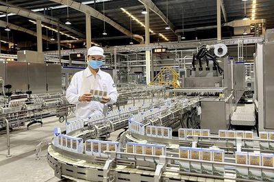 Kỳ 2: Xuất xứ nguyên liệu quyết định khả năng hưởng ưu đãi EVFTA