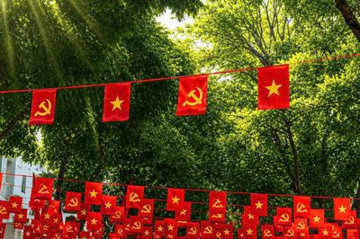 Phố phường Hà Nội rực rỡ cờ hoa chào mừng Ngày Giải phóng Thủ đô