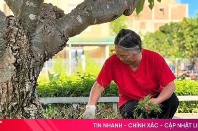 Người cựu TNXP hơn 15 năm lặng lẽ chăm sóc đài tưởng niệm liệt sĩ
