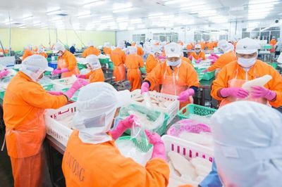Nam Việt chốt trả cổ tức tiền mặt, gia đình ông Doãn Tới dự kiến nhận gần 180 tỷ đồng