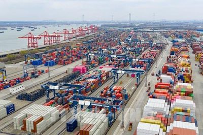 UNCTAD: Kinh tế thế giới tăng trưởng 2,6% năm 2026