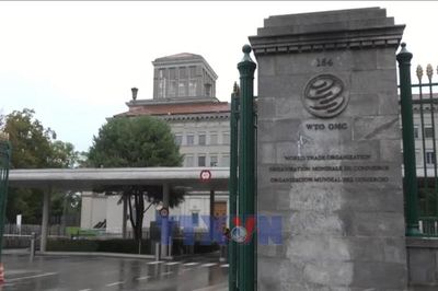 WTO nâng dự báo tăng trưởng thương mại toàn cầu