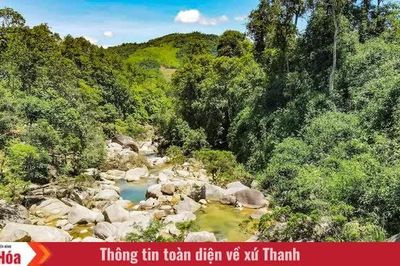 Thanh Hóa tăng cường quản lý đất đai gắn với bảo vệ di tích