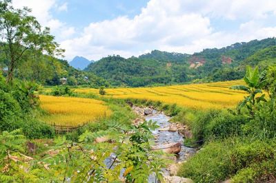 Yên Khương phát huy lợi thế, tạo động lực giảm nghèo bền vững