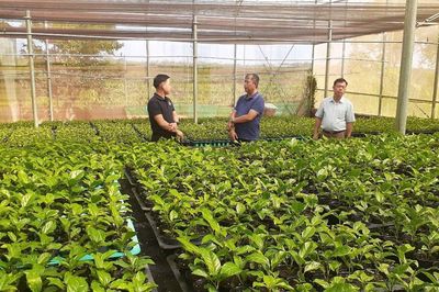 Nông dân Chư Sê ứng dụng công nghệ cao, nâng giá trị nông sản