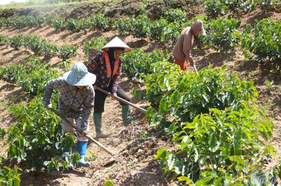 Đổi thay từ nếp nghĩ, cách làm