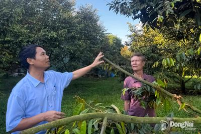 Nâng cao “sức khỏe” cho đất trồng trọt