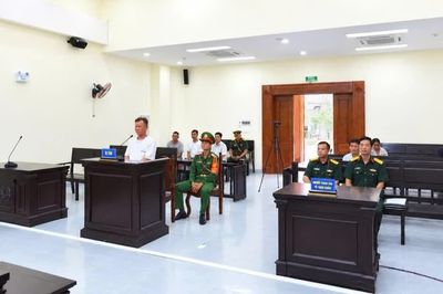 Lãnh án vì cưa hạ 21 cây cao su của Binh đoàn 15