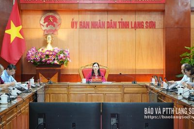 Họp trực tuyến về tiến độ sắp xếp các cơ sở giáo dục và vận hành các trường phổ thông nội trú liên cấp