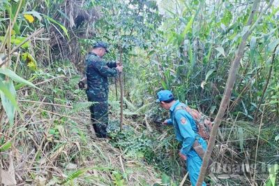 Trồng rừng bản địa trên dãy Trường Sơn