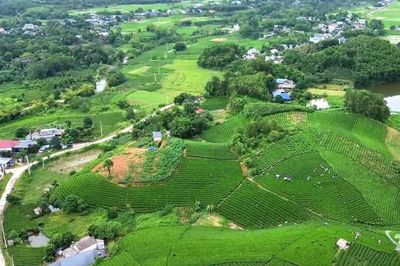 Nghĩa tình Việt Bắc trong ngày trở về tiếp quản Thủ đô