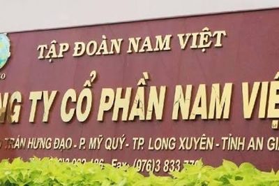 Thủy sản Nam Việt (ANV) chi hơn 266 tỷ đồng trả cổ tức, lợi nhuận bán niên sụt giảm do áp lực chi phí