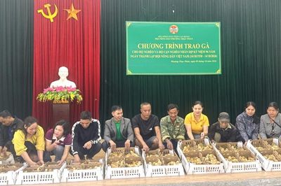 Phường Thục Phán bàn giao 2.950 con gà giống cho hộ nghèo và cận nghèo