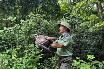 Thả 17 cá thể động vật hoang dã về môi trường tự nhiên tại Vườn Quốc gia Phong Nha - Kẻ Bàng