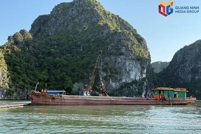Quảng Ninh: Xử lý bè nuôi thủy sản trái phép