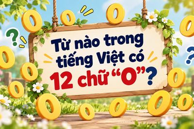 Bạn có giải được câu đố tìm từ tiếng Việt có 12 chữ 'O'?