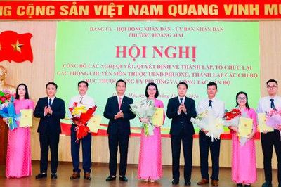 Phường Hoàng Mai thành lập 5 phòng chuyên môn và 12 chi bộ