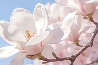 Giờ sinh Âm lịch của đứa trẻ 'vượng gia': Con càng lớn, gia đình càng hưởng phúc