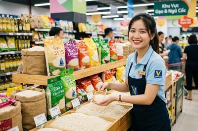 Giá lúa gạo hôm nay 11.10.2026: Chưa có động lực tăng mới