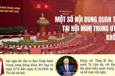[Infographic] Một số nội dung quan trọng tại Hội nghị Trung ương 4 khóa XIV