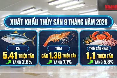 [Video] Ngành thủy sản hướng tới mục tiêu xuất khẩu 12 tỷ USD