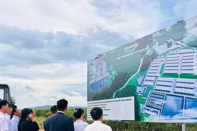 Gia Lai: Hỗ trợ đầu tư dự án tổ hợp chăn nuôi heo công nghệ cao