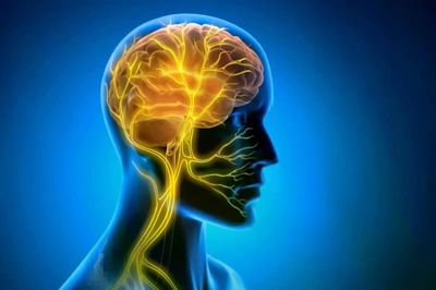 Kích thích dây thần kinh phế vị giúp tăng tốc ghi nhớ kỹ năng mới?