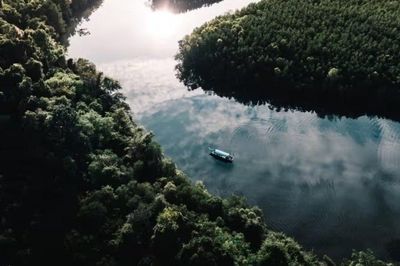 Kỳ bí hệ sinh thái cổ xưa Langkawi