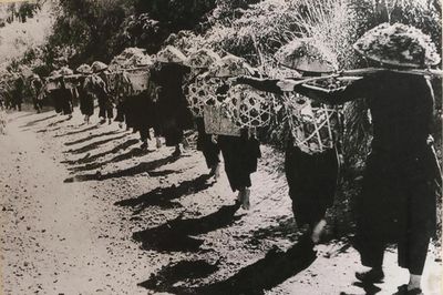 Chiến dịch Biên giới 1950: Phá thế bao vây, mở rộng vùng giải phóng