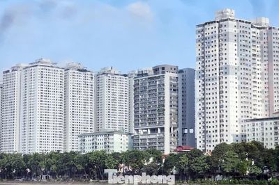 Xử lý 18 000 căn hộ sai quy hoạch tại 12 dự án ông Lê Thanh Thản: 'Không phải hợp thức vi phạm'