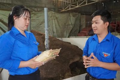 Thanh niên cần những kỹ năng thực chiến