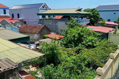 Đất có sổ đỏ từ 1996 ghi đất ở, đất vườn: Cấp đổi sổ có phải xác định lại đất ở?