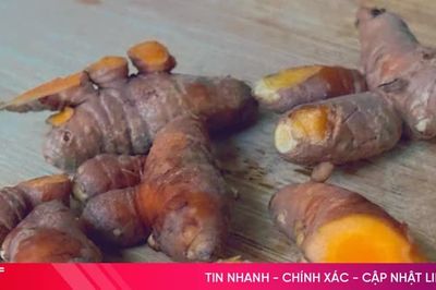 Lợi ích khi ăn nghệ thường xuyên