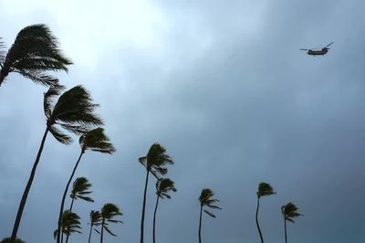 Bão Isaias càn quét Đông Nam nước Mỹ, ít nhất 4 người thiệt mạng