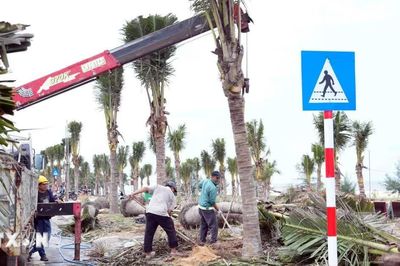 Quảng Trị tổ chức lại không gian, chỉnh trang và phát triển du lịch biển