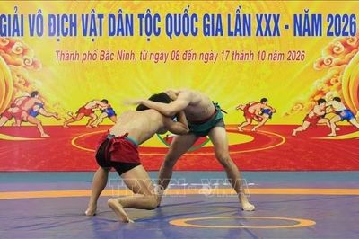 Khai mạc Giải vô địch Vật dân tộc quốc gia lần thứ XXX
