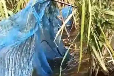 Giăng lưới đánh cá, người dân nhìn thấy cảnh tượng nổi da gà