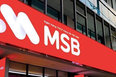 MSB tăng vốn giữa lúc dòng tiền cho vay tăng mạnh