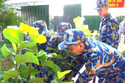 Xanh hóa Trường Sa - Ý chí, nghị lực của bộ đội Hải quân nơi đầu sóng