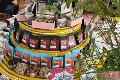 Thương vụ Việt Nam đồng hành, kết nối xuất khẩu cà phê Sơn La