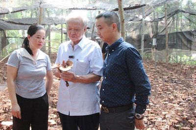 Nhà khoa học giúp nông dân trồng nấm quý
