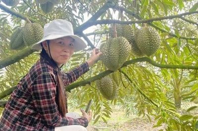 Hợp tác xã nông nghiệp Mỹ Tân: Phát triển theo hướng đa dạng sản phẩm, dịch vụ