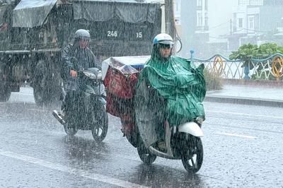 Mưa lớn ở phía Đông tỉnh Gia Lai, có nơi vượt 190 mm