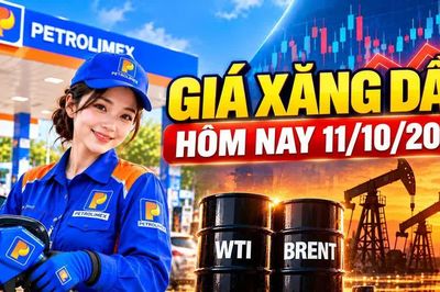 Giá xăng dầu hôm nay 11/10: Dầu thế giới đứng ở vùng cao trước tuần mới