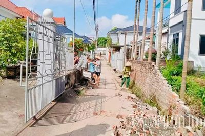 Khi tấc đất hóa... tình quê