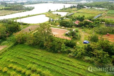 Những 'ông chủ' trên vùng đồi Ba Trang